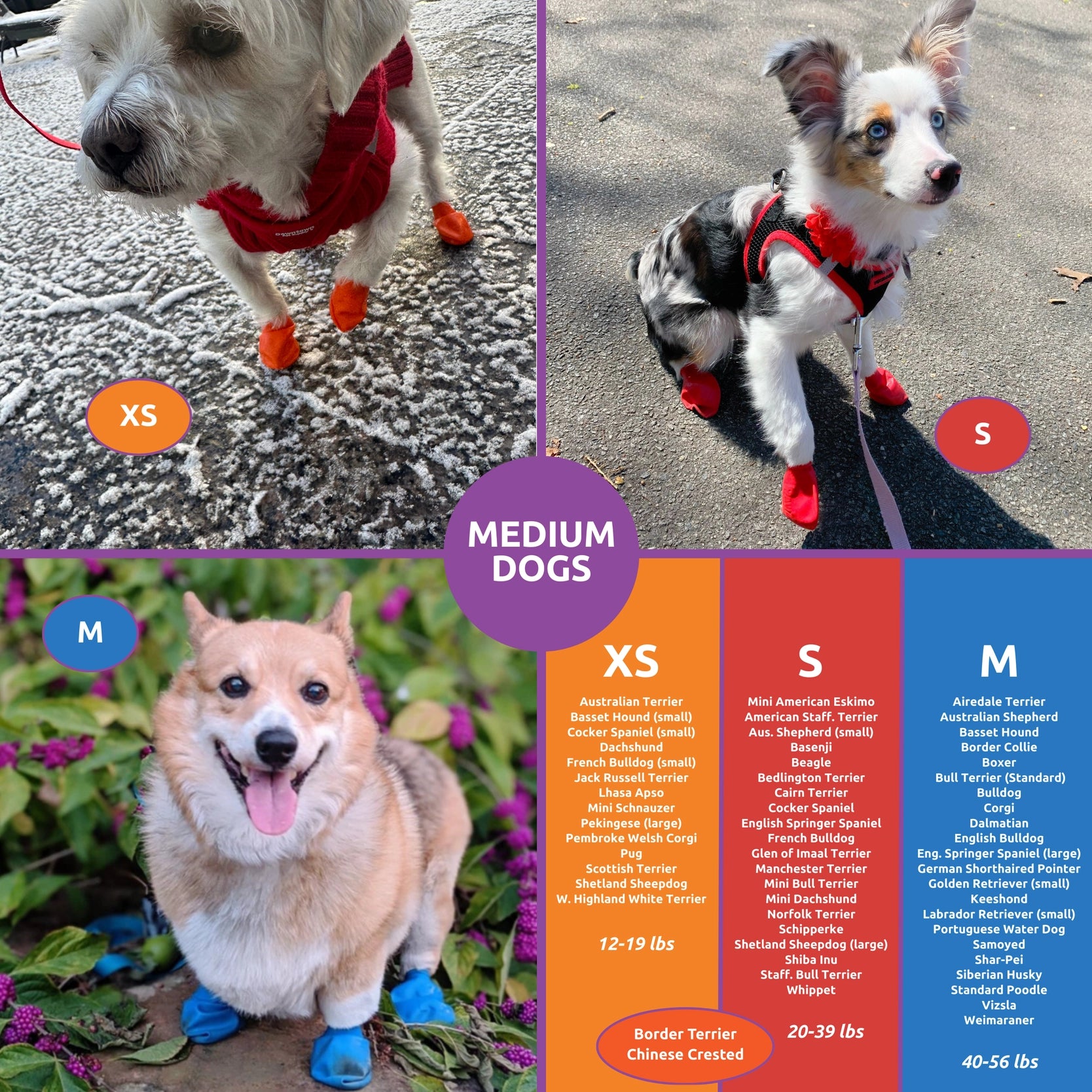 Pawz Rubber Dog Boots, 12 Boots