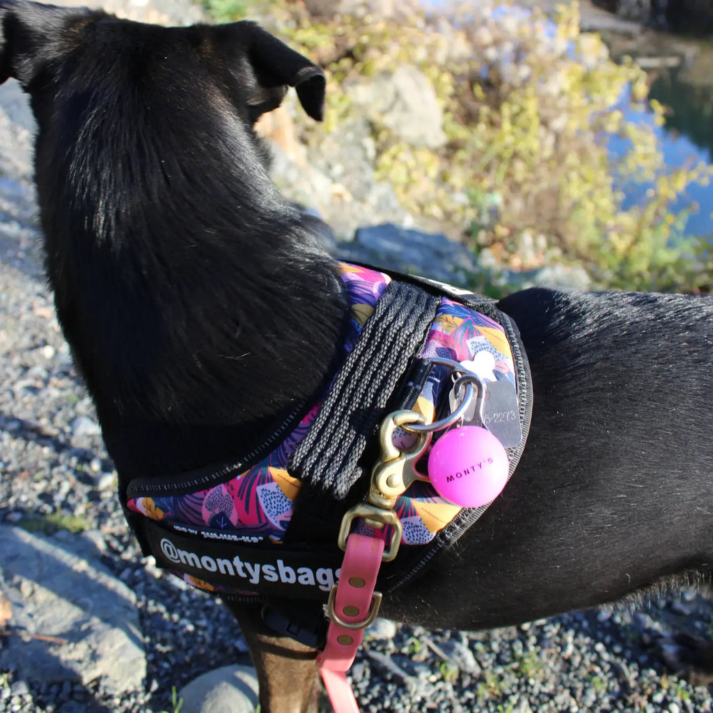 Battery Powered Flashing Dog Collar/Harness Lights