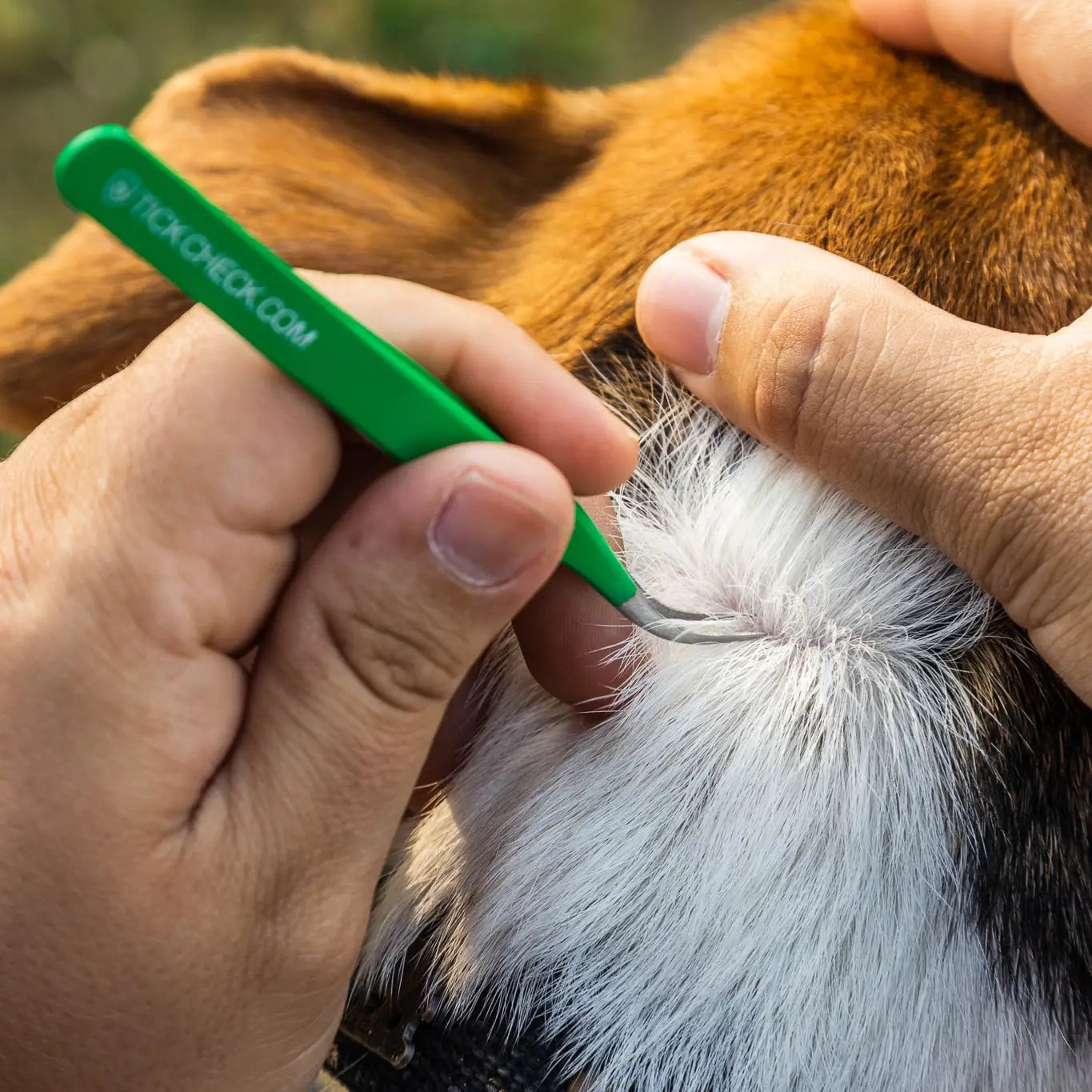 TickCheck Premium Tick Remover Kit