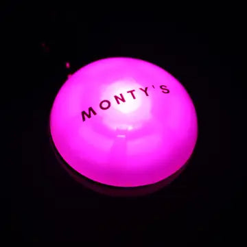 Battery Powered Flashing Dog Collar/Harness Lights