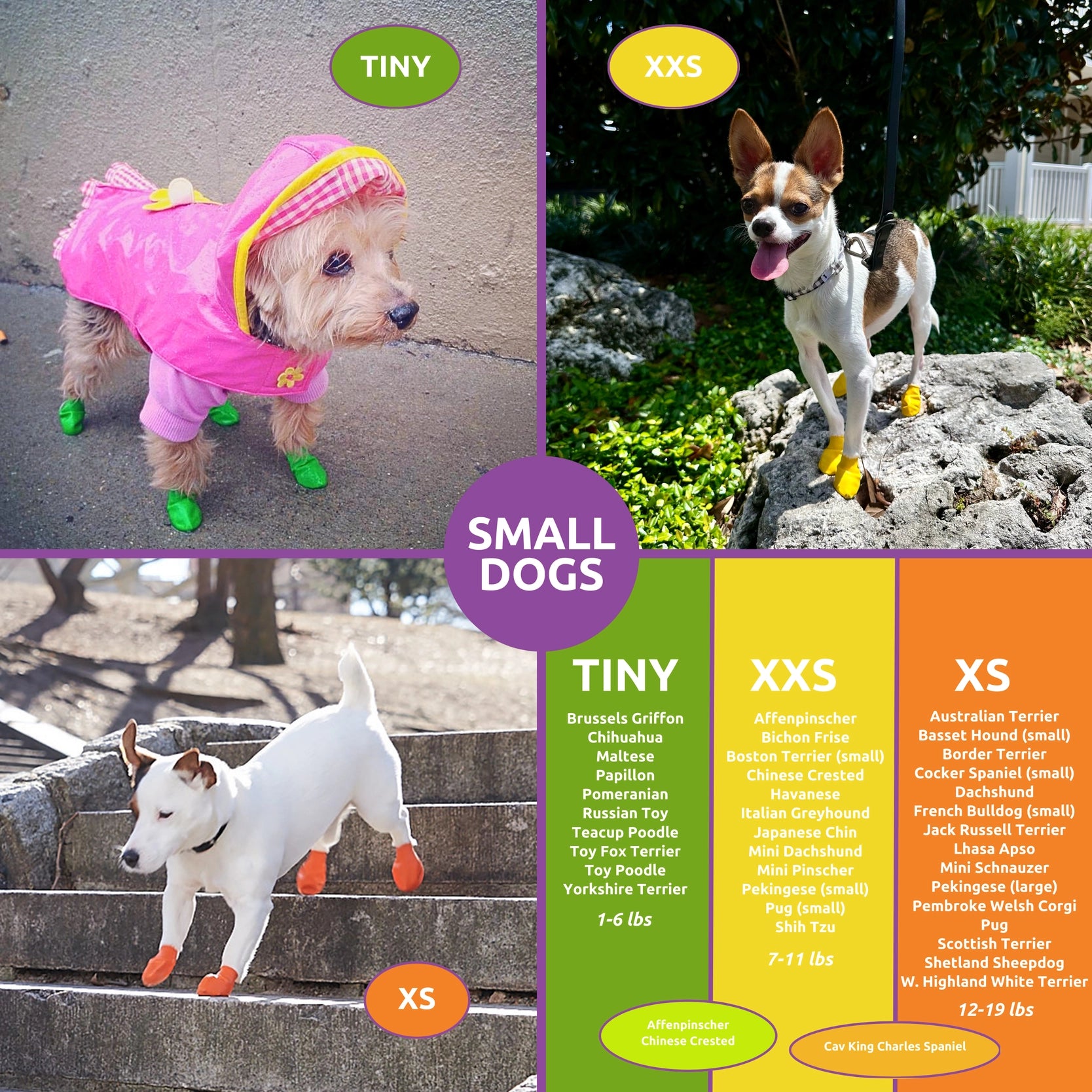 Pawz Rubber Dog Boots, 12 Boots