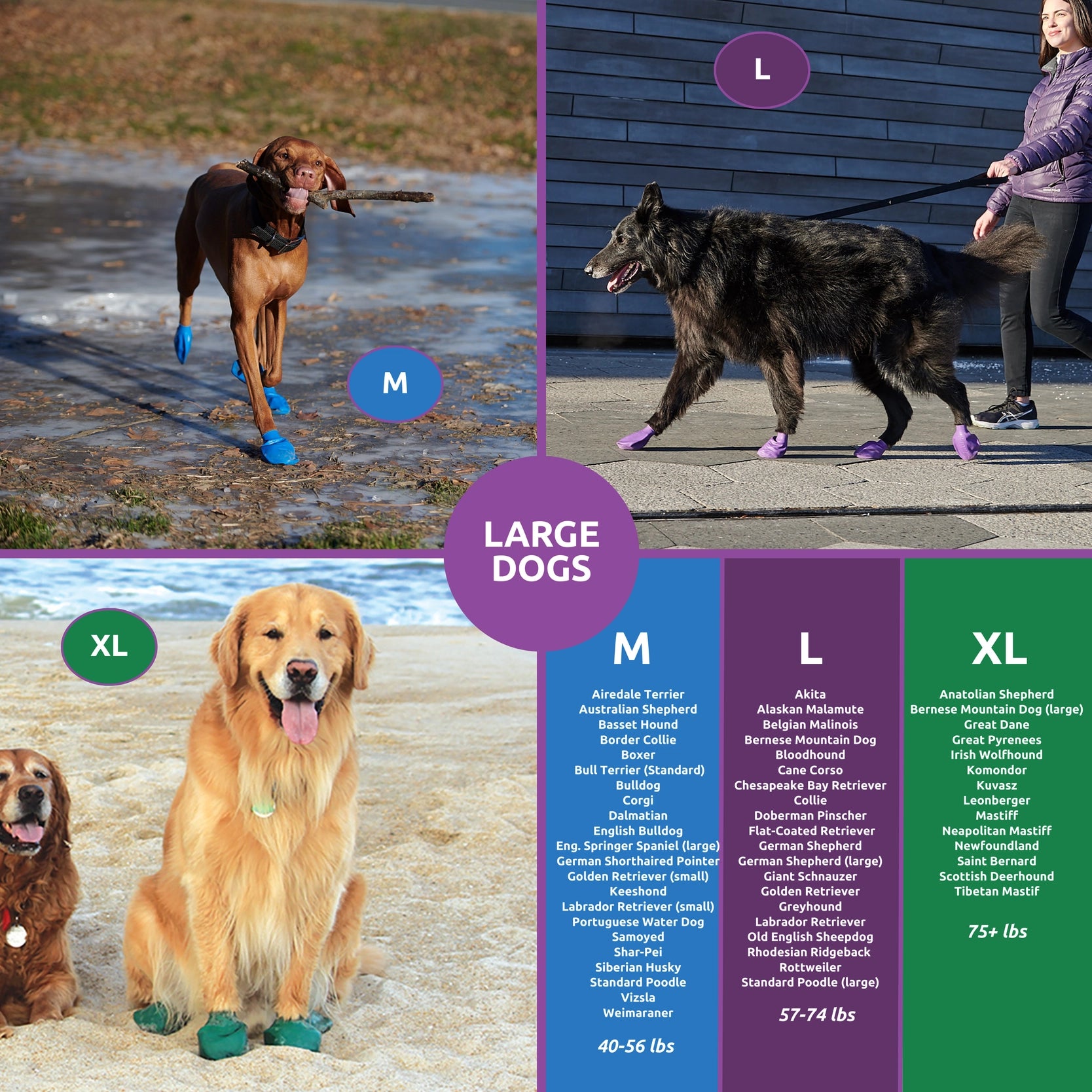 Pawz Rubber Dog Boots, 12 Boots