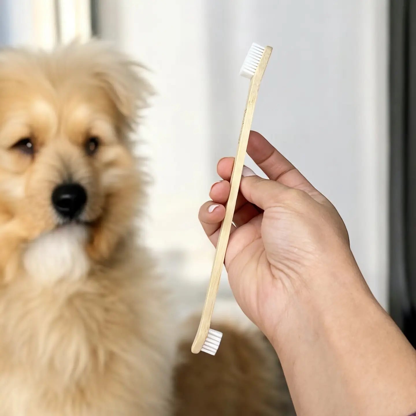 Dual Ended Bamboo Dog & Pet Toothbrush