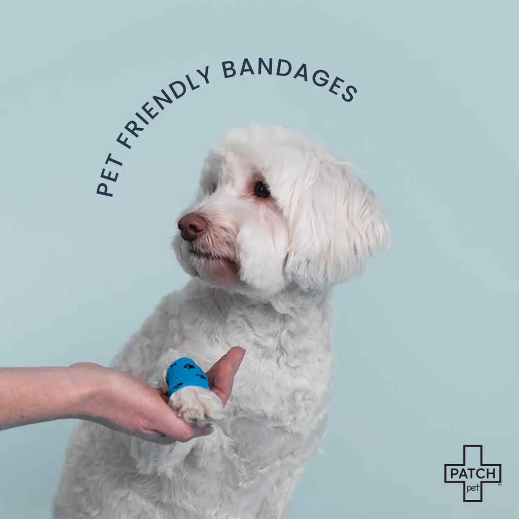 Patch Pet Eco On-The-Go Travel Bandage Kit For Pets